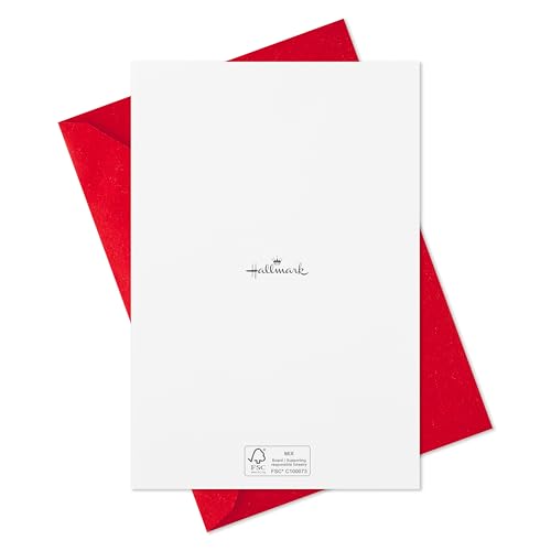 Hallmark Boxed Christmas Cards with Envelopes, Red Front Door R43126