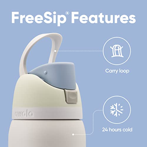 Owala FreeSip Insulated Stainless Steel Water Bottle with Straw, 24 oz, Iced Breeze B18538