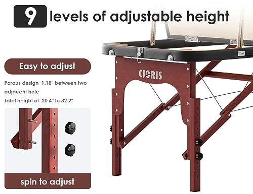 CLORIS 84" Portable Massage Table with Carrying Bag Z191211