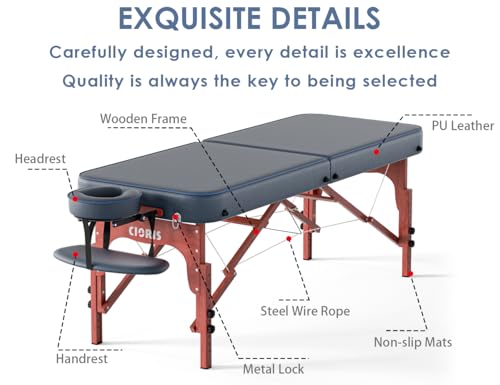 CLORIS 84" Portable Massage Table with Carrying Bag Z191211