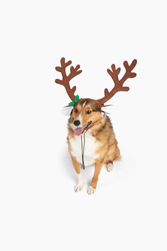 Midlee Brown Reindeer Antlers Headband Pet Christmas Costume Large H2849