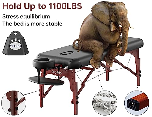 CLORIS 84" Portable Massage Table with Carrying Bag Z191211