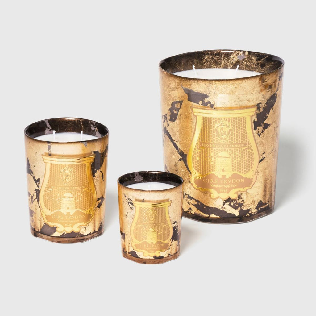 Cire Trudon Ernesto Scented Classic Candle 270g Q60101