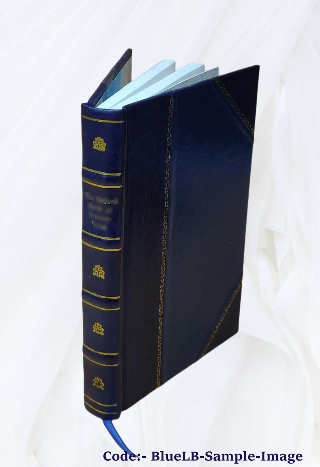 The book of the visions & instructions of blessed Angela of Foligno [Leather Bound] U158