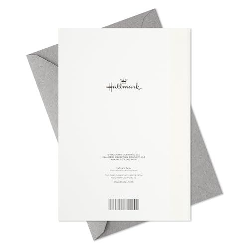 Hallmark Boxed Holiday Cards, Red and Gold Snowflake, 40 Cards with Envelopes E355
