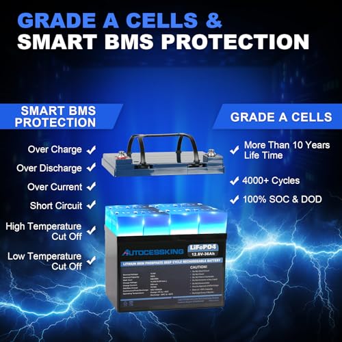 12V 100Ah BCI Group 24 LiFePO4 Battery with Low-Temp Protection F4727