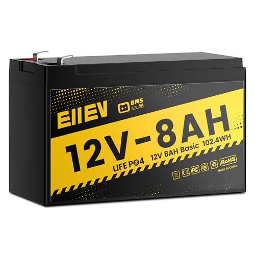 12V 100Ah LiFePO4 Battery with Low-Temp Protection and 100A BMS S942749