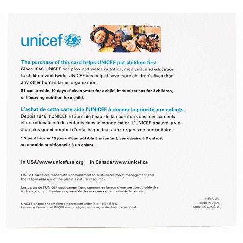 Hallmark UNICEF Boxed Christmas Cards Peace On Earth Dove, 12 Cards with Envelopes Y51676