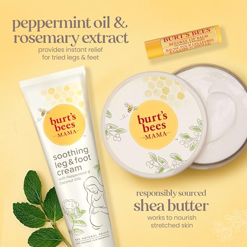 Burt's Bees Classics Set, 6 Products in Giftable Tin T395