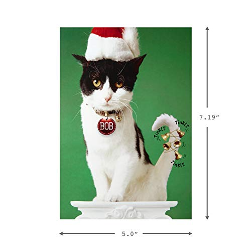 Hallmark Shoebox Funny Christmas Boxed Cards, 4 Designs, 24 Cards with Envelopes A408