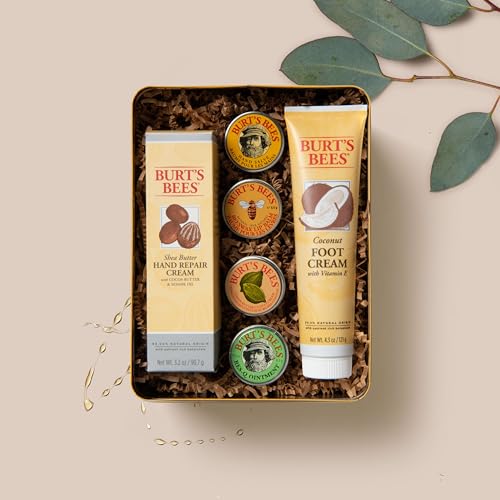 Burt's Bees Classics Set, 6 Products in Giftable Tin T395