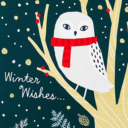 Hallmark Boxed Christmas Cards, 24 Designs with Envelopes Q45982