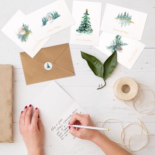 ZICOTO Christmas Cards Set of 20 with Watercolor Designs, Envelopes, Stickers and Storage Box J92706