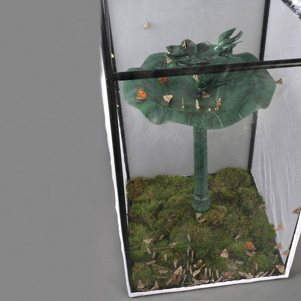 Butterfly Display Cage