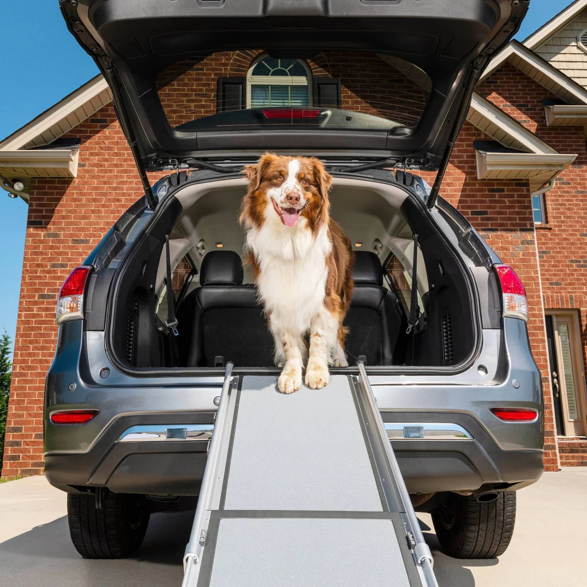 Solvit Deluxe Telescoping Pet Ramp K919293
