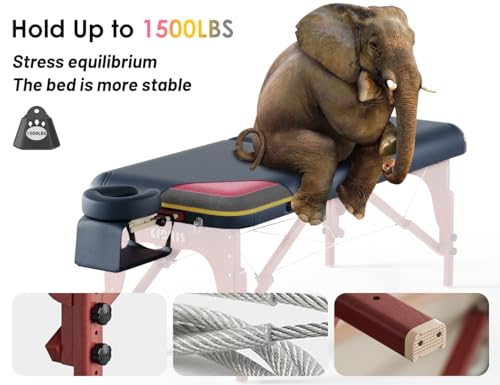 CLORIS 84" Portable Massage Table with Carrying Bag Z191211