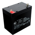 Interstate DCM0055 12V 55Ah Wheelchair Battery : AJC Brand Replacement - Megean