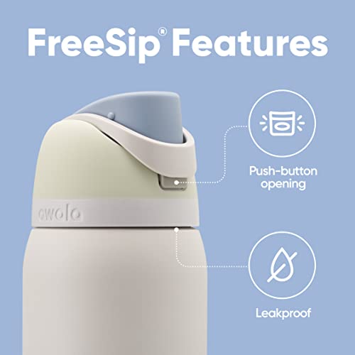 Owala FreeSip Insulated Stainless Steel Water Bottle with Straw, 24 oz, Iced Breeze B18538