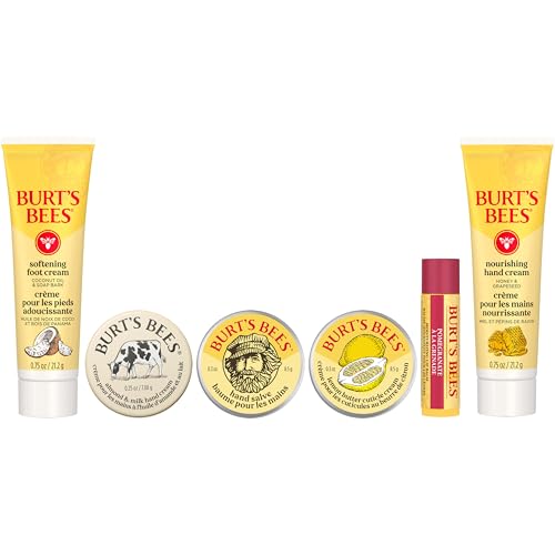 Burt's Bees Classics Set, 6 Products in Giftable Tin T395