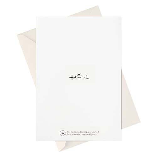 Hallmark Boxed Religious Christmas Cards Assortment, 24 Cards with Envelopes T4629