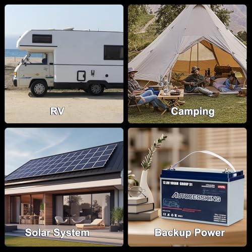 12V 100Ah BCI Group 24 LiFePO4 Battery with Low-Temp Protection F4727