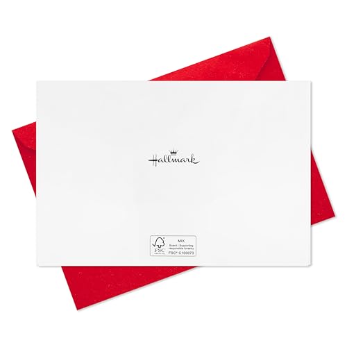 Hallmark Boxed Christmas Cards, Painted Cardinal (40 Cards with Envelopes) O254