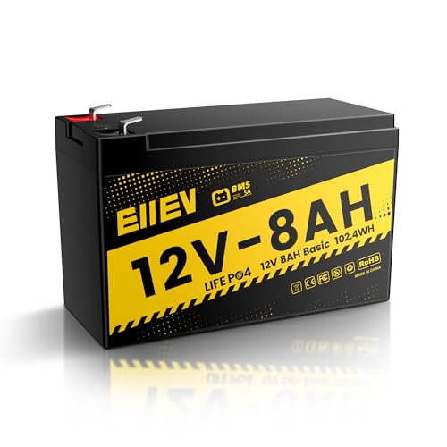 12V 100Ah LiFePO4 Battery with Low-Temp Protection and 100A BMS S942749