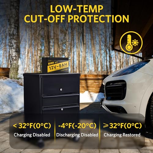 12V 100Ah LiFePO4 Battery with Low-Temp Protection and 100A BMS S942749