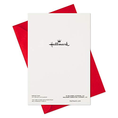 Hallmark Boxed Christmas Cards, Snowy Wreath (40 Cards and Envelopes) L647
