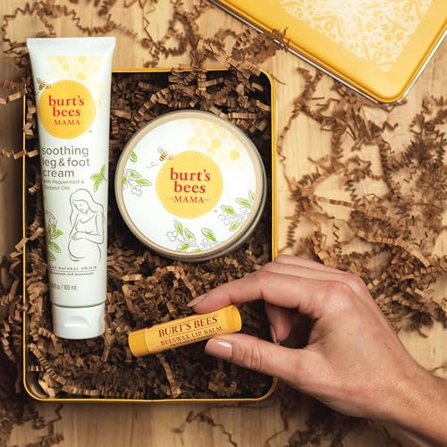 Burt's Bees Classics Set, 6 Products in Giftable Tin T395
