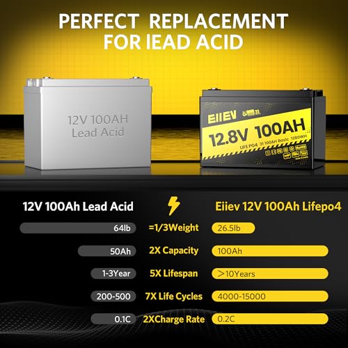 12V 100Ah LiFePO4 Battery with Low-Temp Protection and 100A BMS S942749