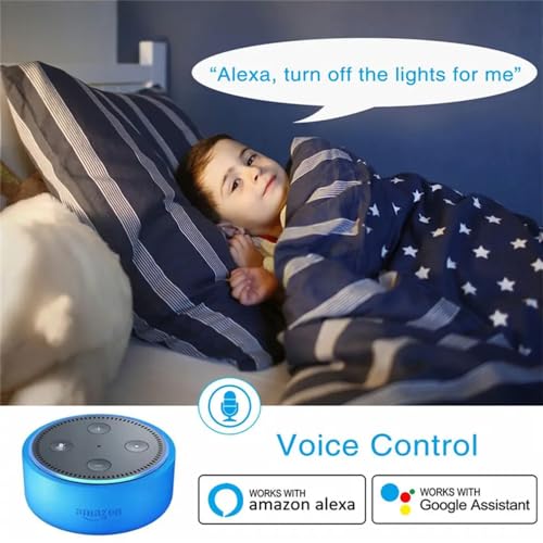 Zigbee Paddle Touch Smart Switch, Alexa and Google Home Compatible, Neutral Wire Required Y846