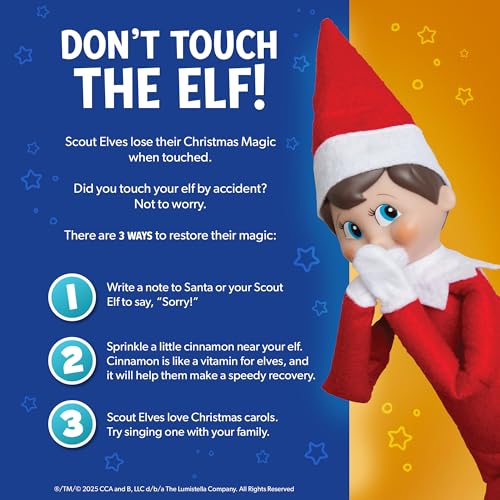 The Elf on the Shelf: A Christmas Tradition Boy Scout Elf with Blue Eyes Storybook and Keepsake Box W196