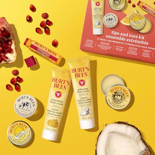 Burt's Bees Classics Set, 6 Products in Giftable Tin T395