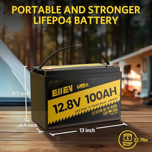 12V 100Ah LiFePO4 Battery with Low-Temp Protection and 100A BMS S942749