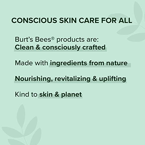 Burt's Bees Lip Balm 4-Pack, Pink Grapefruit, Mango, Coconut & Pear, Pomegranate C323915