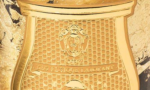 Cire Trudon Ernesto Scented Classic Candle 270g Q60101