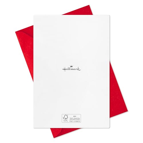 Hallmark Modern Boxed Christmas Cards with Envelopes, Evergreen Branches and Holly A12256