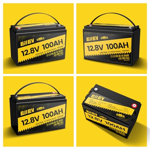 12V 100Ah LiFePO4 Battery with Low-Temp Protection and 100A BMS S942749