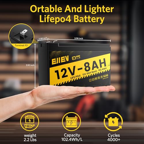 12V 100Ah LiFePO4 Battery with Low-Temp Protection and 100A BMS S942749
