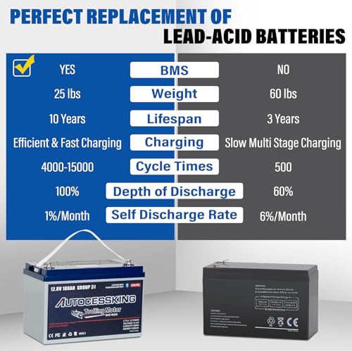12V 100Ah BCI Group 24 LiFePO4 Battery with Low-Temp Protection F4727
