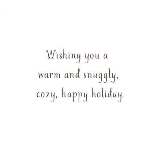 Hallmark Christmas Cards Boxed with Envelopes, Happy Holidays, 40 Count F297425