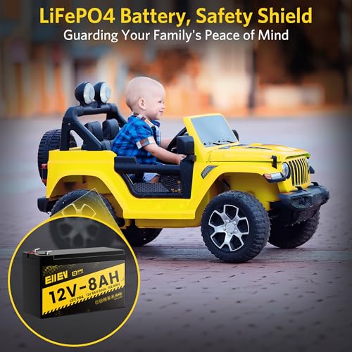 12V 100Ah LiFePO4 Battery with Low-Temp Protection and 100A BMS S942749