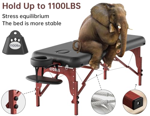 CLORIS 84" Portable Massage Table with Carrying Bag Z191211