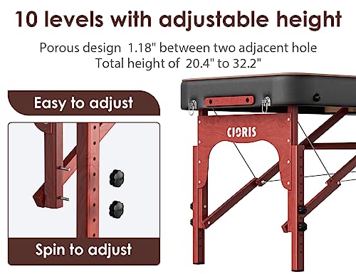 CLORIS 84" Portable Massage Table with Carrying Bag Z191211
