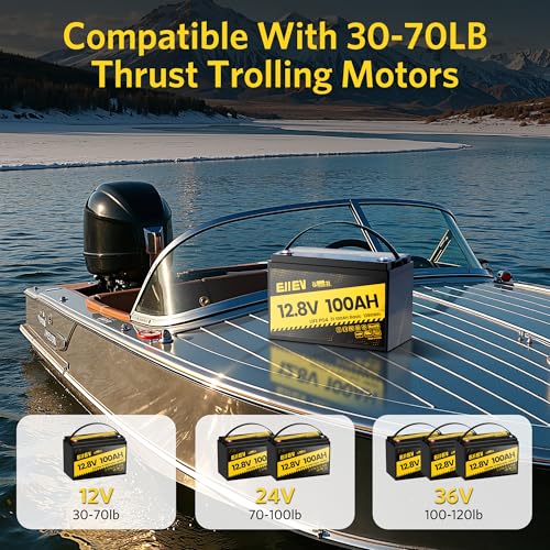 12V 100Ah LiFePO4 Battery with Low-Temp Protection and 100A BMS S942749