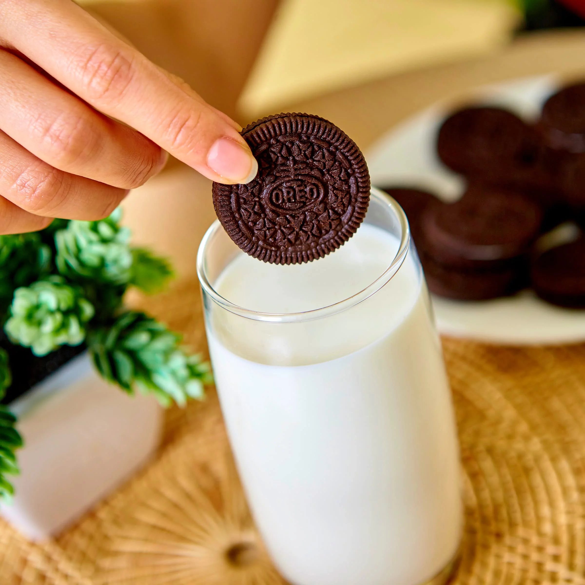 OREO Chocolate Sandwich Cookies, Family Size, 14 Pack T68629