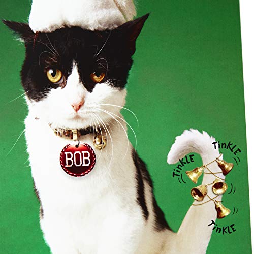 Hallmark Shoebox Funny Christmas Boxed Cards, 4 Designs, 24 Cards with Envelopes A408