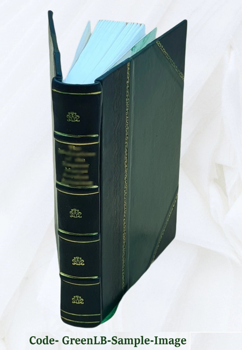 The book of the visions & instructions of blessed Angela of Foligno [Leather Bound] U158