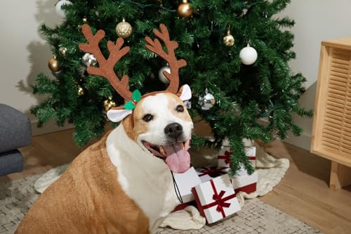 Midlee Brown Reindeer Antlers Headband Pet Christmas Costume Large H2849